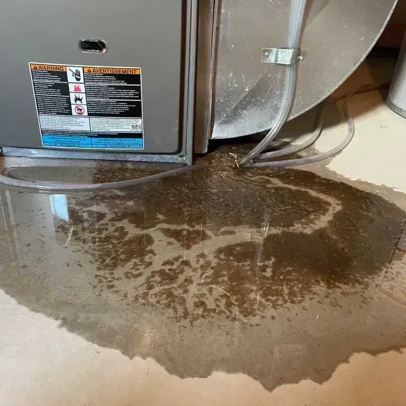 Appliance Leak Cleanup in Brandon, VT